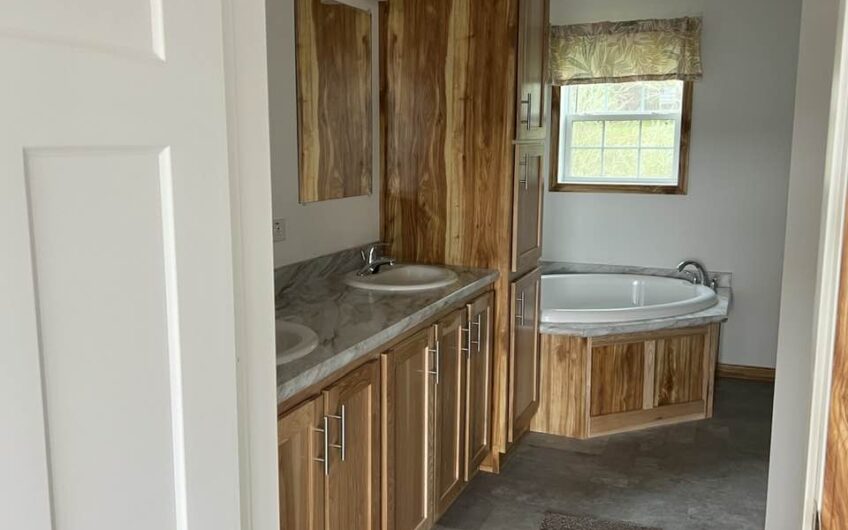 LOT MODEL CHAMPION ESSENTIAL SERIES HICKORY CABINES                SOLD CAN ORDER  IT!