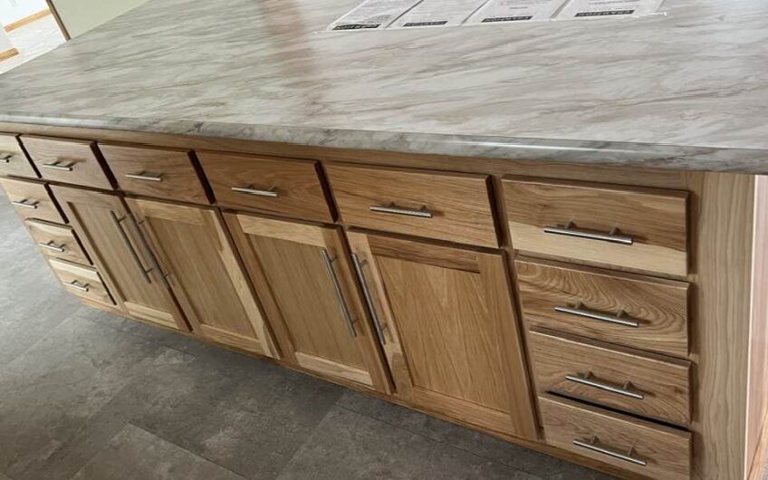 LOT MODEL CHAMPION ESSENTIAL SERIES HICKORY CABINES                SOLD CAN ORDER  IT!